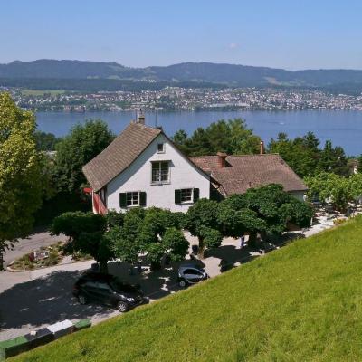 Restaurant zum Pflugstein Erlenbach