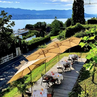 Restaurant zum Pflugstein Erlenbach